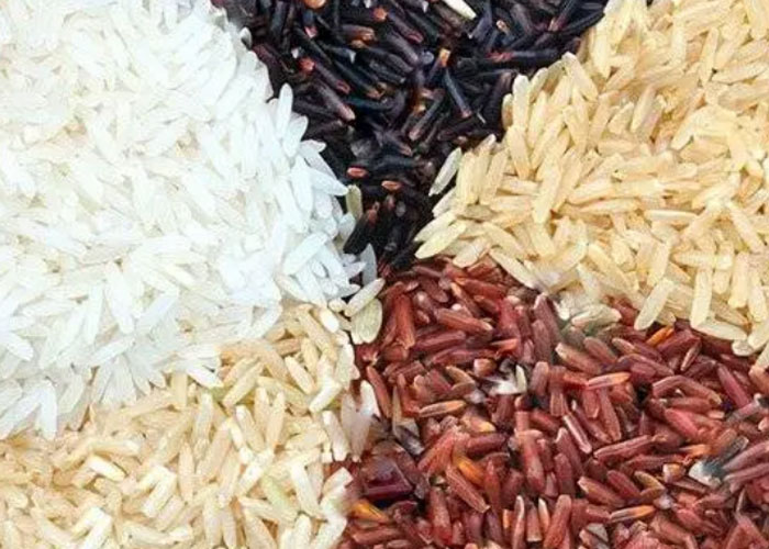 Organic Rice